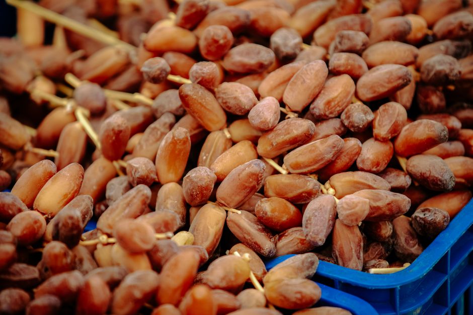 Pile of fresh, ripe dates in a blue crate from the Biskra region of Algeria.