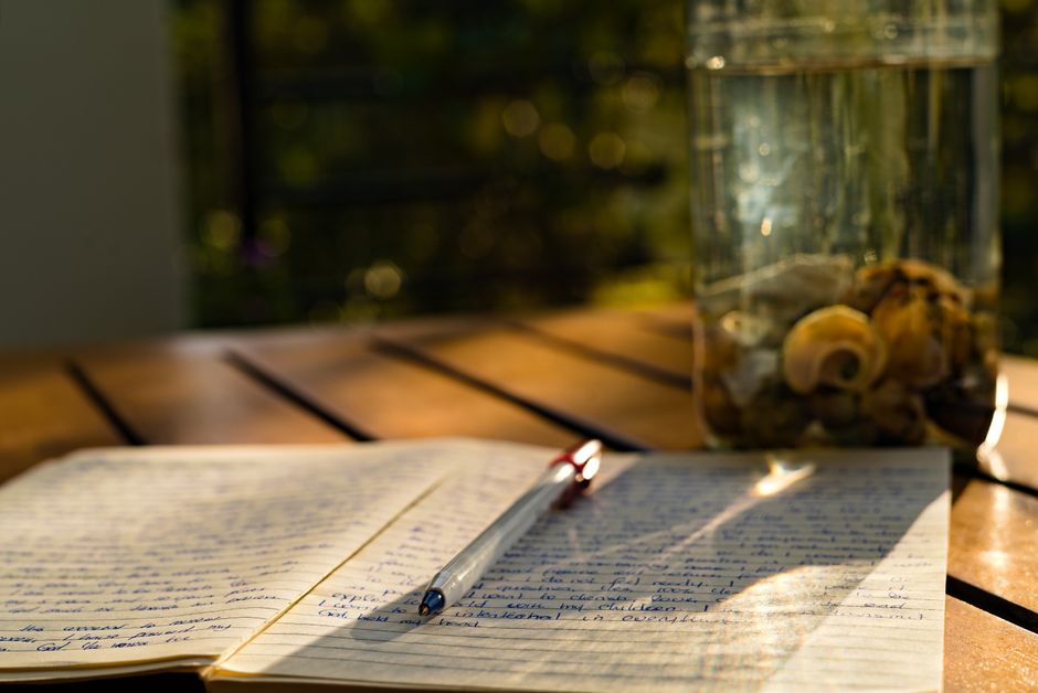 Practice Gratitude and Positive Reflection