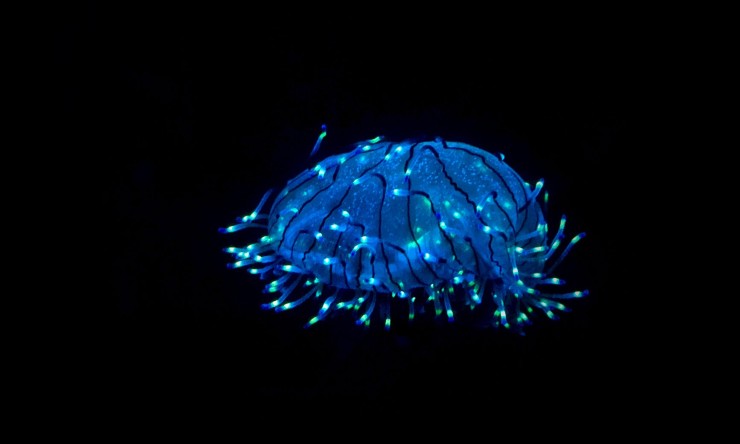 10 Bizarre Facts About Our World That Will Blow Your Mind