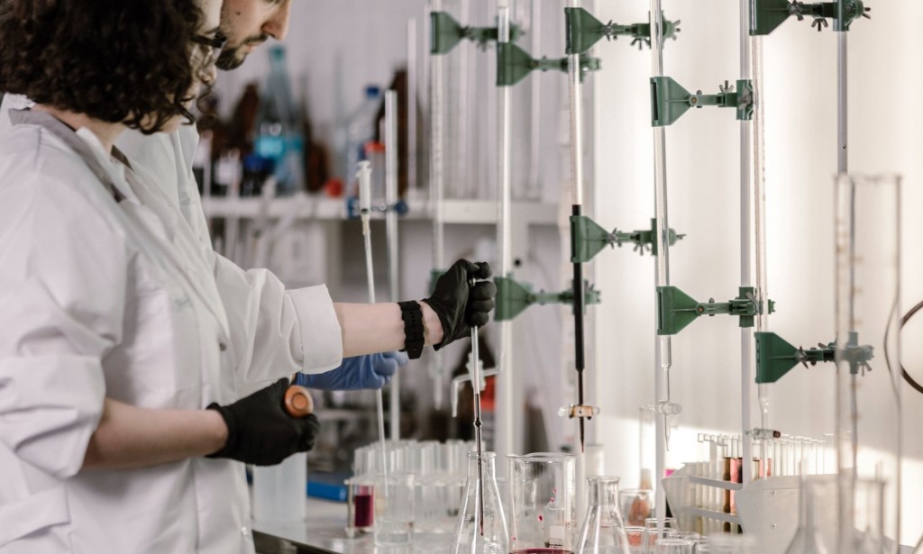 Biotechnology: A Journey Through Innovation and Transformation