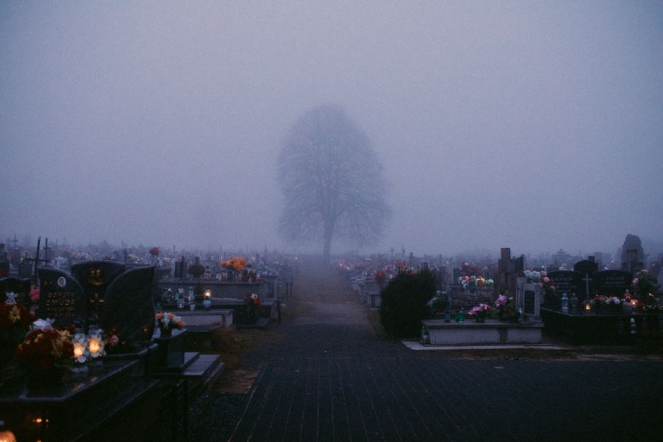A misty graveyard scene with a solitary tree, evoking a somber mood.