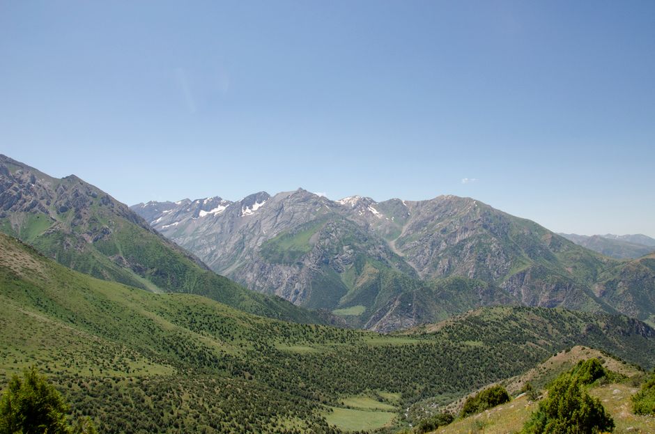 Stunning panoramic view of lush green mountains near Shymkent, Kazakhstan, under a clear blue sky.
