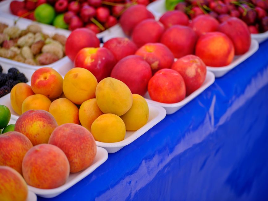 A vibrant selection of apricots, peaches, and assorted fruits displayed on trays at a market.
