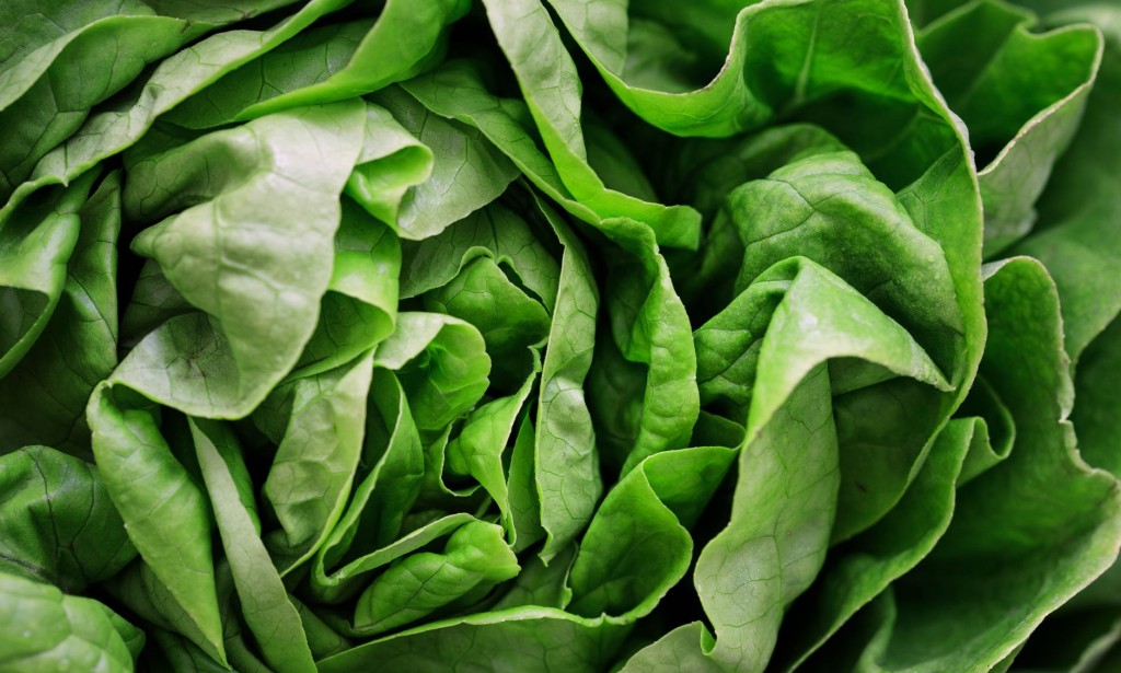 4 things to include in your salad course and best time to eat
