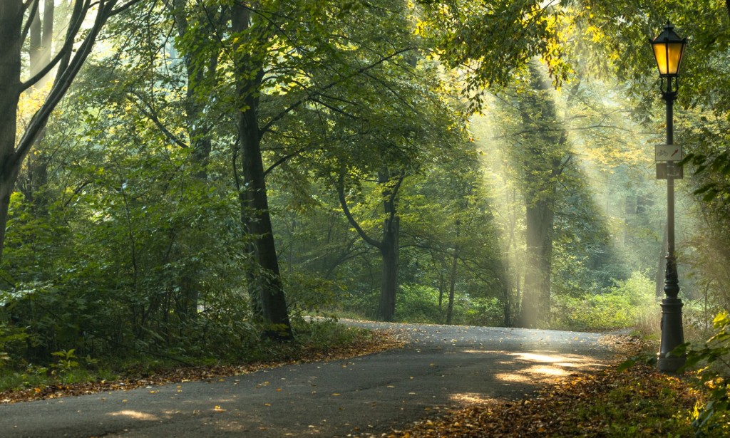Sustaining Mental Prosperity: A Comprehensive Way to deal with Emotional well-being