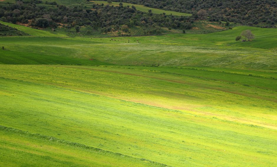 Expansive countryside with lush green fields and distant forested hills in sunlight.