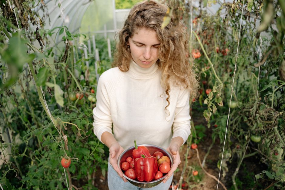 how to start vegetable gardening at home how to start vegetable gardening at home