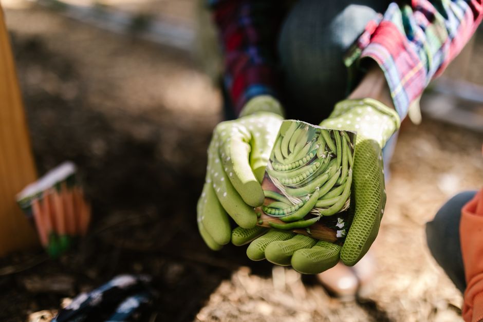 how to start vegetable gardening at home how to start vegetable gardening at home