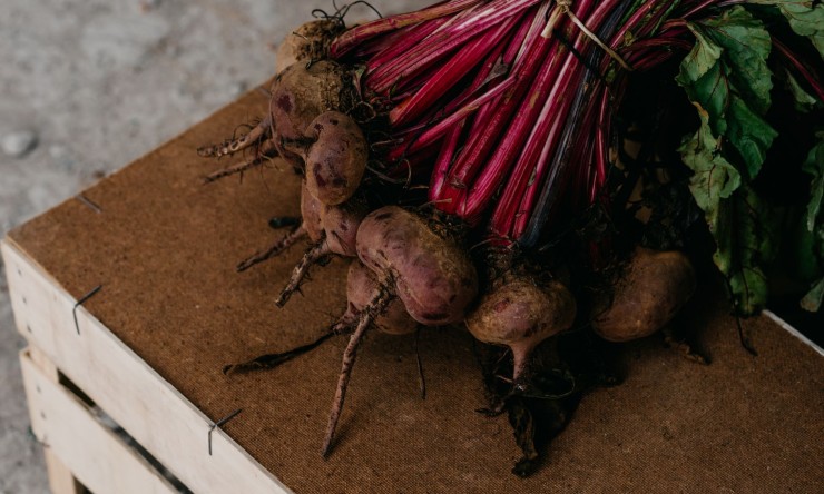 Explore the Benefits: Five Compelling Reasons to Incorporate More Beetroot into Your Diet