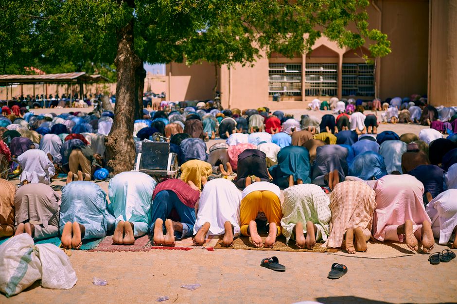 Large group of Muslims engaged in prayer outdoors beneath a tree.