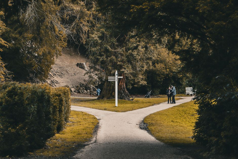 Picturesque park scene with a forked path and signpost, inviting exploration.