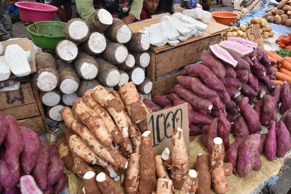 Fresh yams and cassava on display at an outdoor market stall, showcasing a variety of root vegetables.