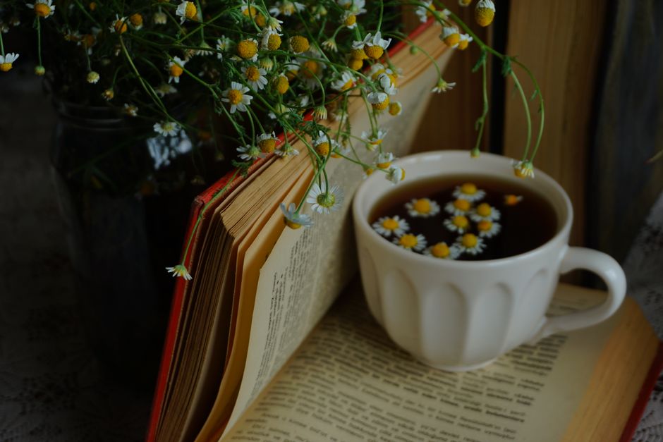Calming scene with an open book, chamomile tea, and flowers.