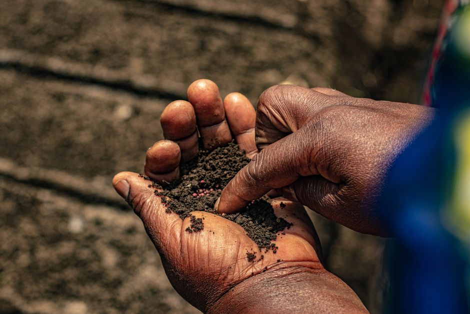 What is gardening?