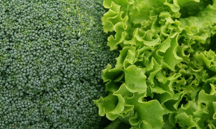 Easy Ways to Eat More Sustainably in 2025 both the planet and your health.