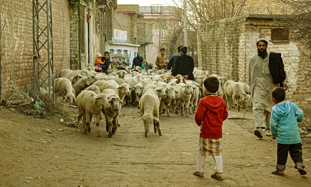 Why is it forbidden to be ?? بچ In childhood we had heard from the elders that the person is forbidden, but whenever he should ask, he could not explain because he did not have research, jus