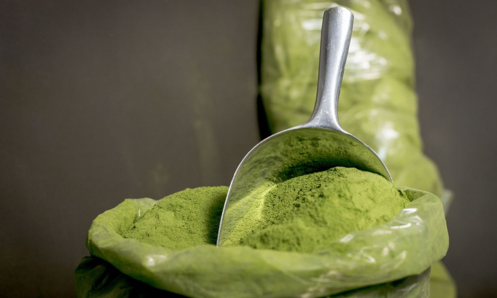 Top 10 Incredible Benefits of Moringa Powder We're excited to share the many benefits of moringa powder.