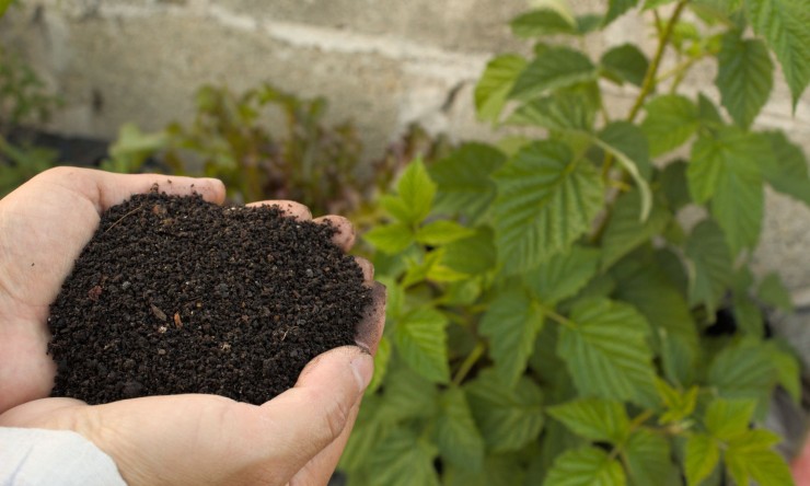 Title :Converting Compost into Granulated Fertilizer: A Comprehensive Guide