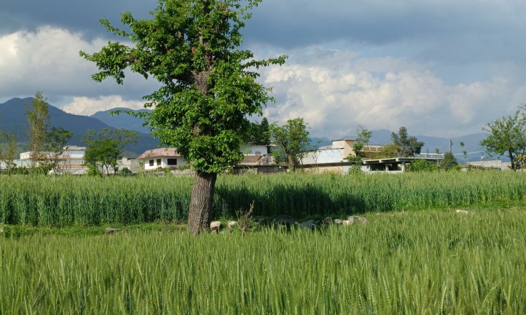 Sustainable Horizons: Navigating the Path to a Conscious Lifestyle