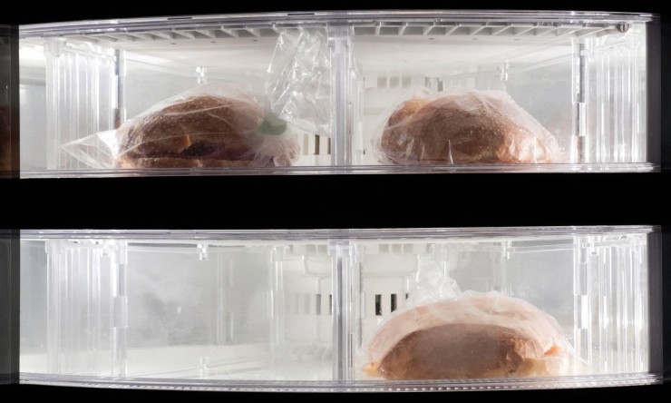 Optimizing Freezer Efficiency: Choosing, Maintaining, and Using Effectively