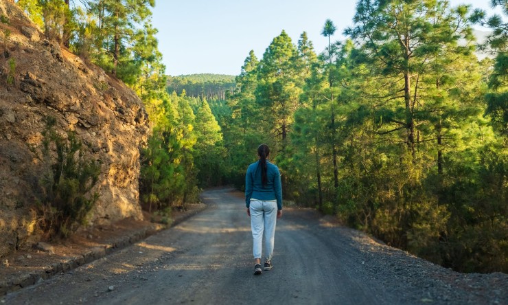 Optimizing Well-Being: A Guide to Human Health