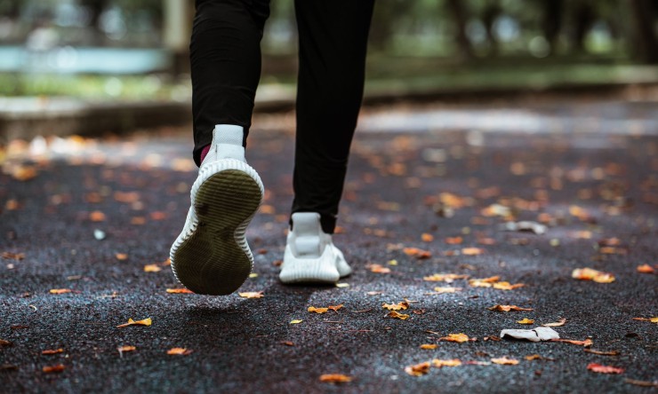 The Groundbreaking Force of Activity: Supporting Body, Brain, and Soul