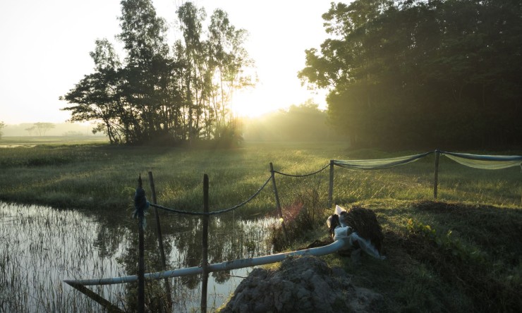 Embracing the Great Lifestyle: Principles for a Fulfilling Life