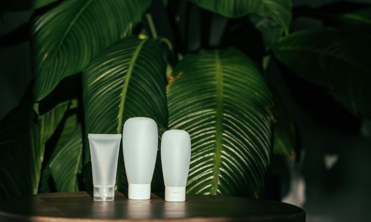 Normal Magnificence: Embracing Skincare and Cosmetics Patterns with Clean Ingredients
