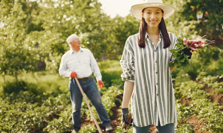 Rooted Living: Embracing the Homesteading Lifestyle